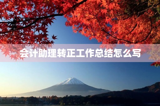 会计助理转正工作总结怎么写