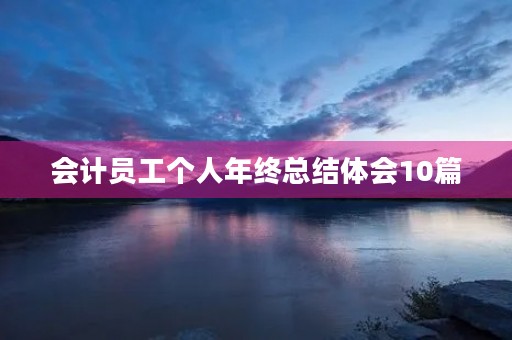 会计员工个人年终总结体会10篇