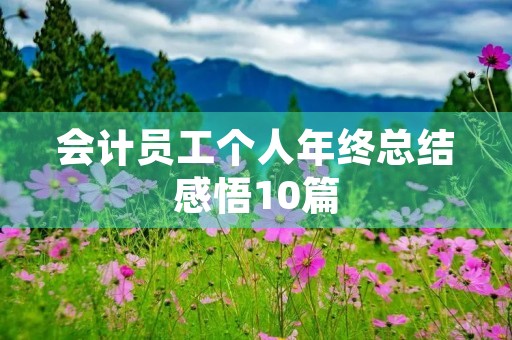 会计员工个人年终总结感悟10篇 会计员工个人年终总结感悟10篇