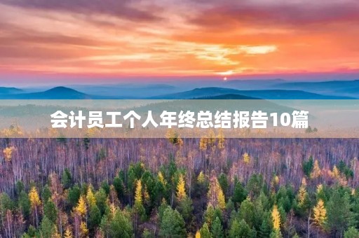 会计员工个人年终总结报告10篇 会计员工个人年终总结报告10篇