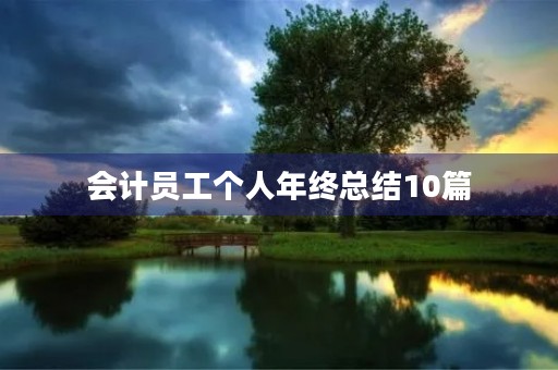 会计员工个人年终总结10篇 会计员工个人年终总结10篇