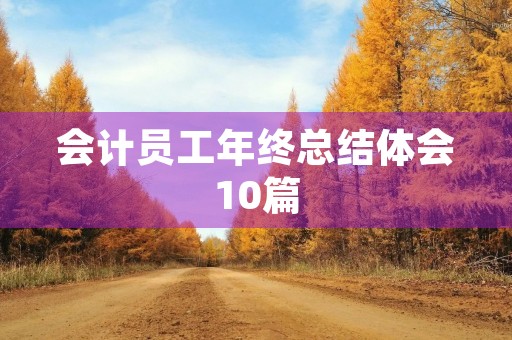 会计员工年终总结体会10篇