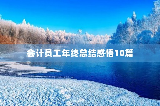会计员工年终总结感悟10篇