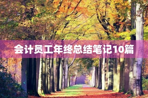 会计员工年终总结笔记10篇