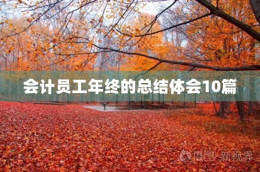 会计员工年终的总结体会10篇 会计员工年终的总结体会10篇