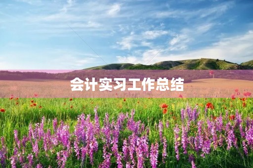 会计实习工作总结【7篇】 会计实习工作总结【7篇】