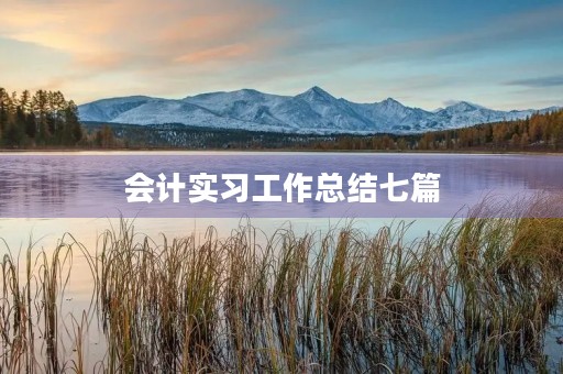会计实习工作总结七篇