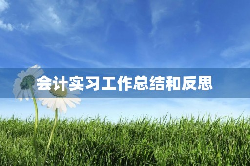 会计实习工作总结和反思