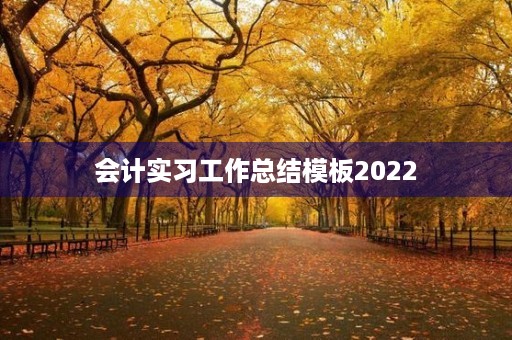 会计实习工作总结模板2022 会计实习工作总结模板2022
