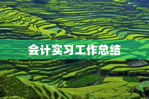 会计实习工作总结（5篇）