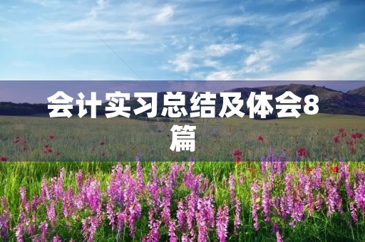 会计实习总结及体会8篇 会计实习总结及体会8篇