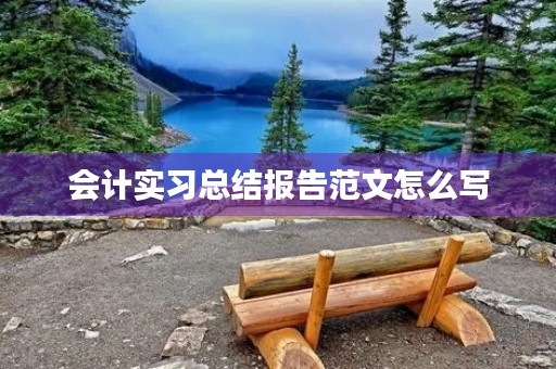 会计实习总结报告范文怎么写