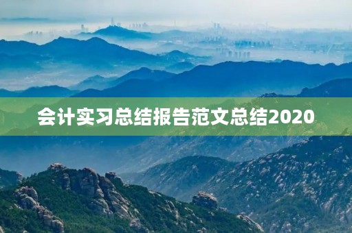 会计实习总结报告范文总结2020