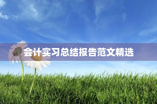 会计实习总结报告范文精选