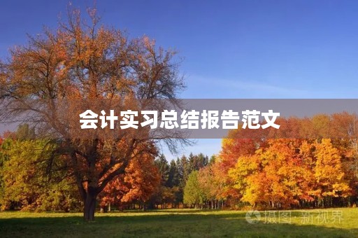 会计实习总结报告范文