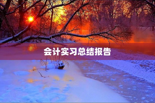 会计实习总结报告 会计实习总结报告