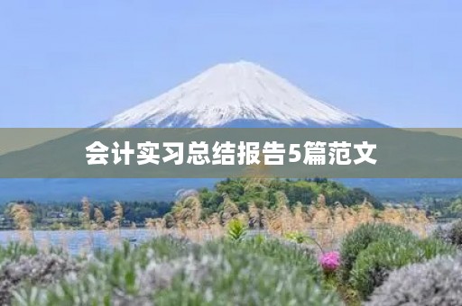 会计实习总结报告5篇范文