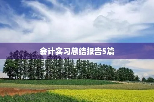 会计实习总结报告5篇 会计实习总结报告5篇