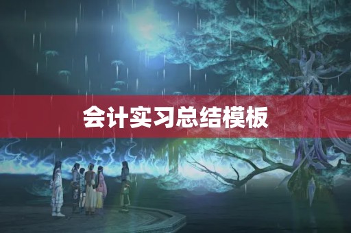 会计实习总结模板