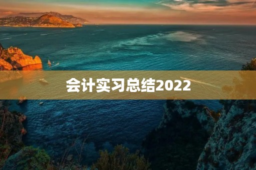 会计实习总结2022