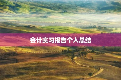 会计实习报告个人总结