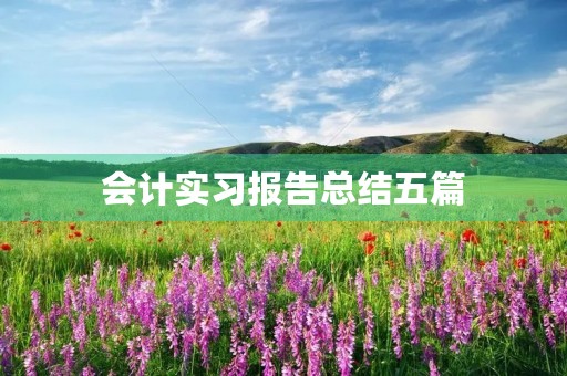 会计实习报告总结五篇 会计实习报告总结五篇