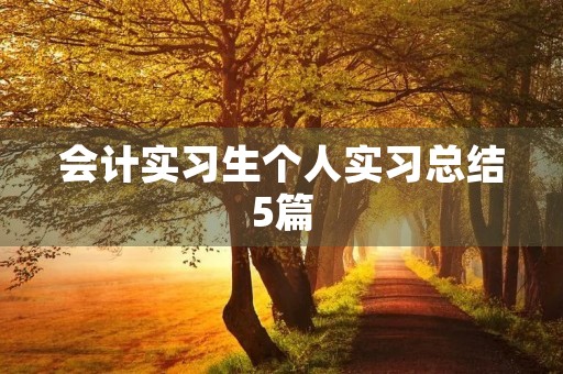 会计实习生个人实习总结5篇 会计实习生个人实习总结5篇