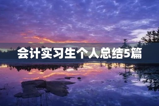 会计实习生个人总结5篇 会计实习生个人总结5篇