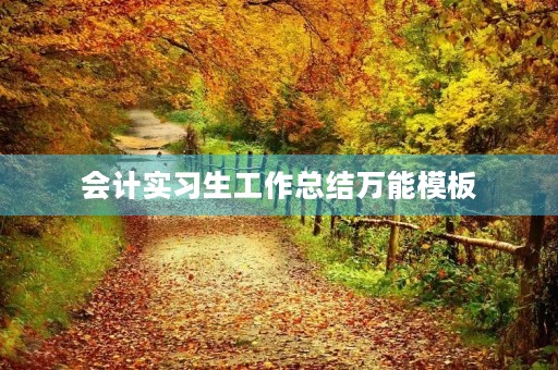 会计实习生工作总结万能模板