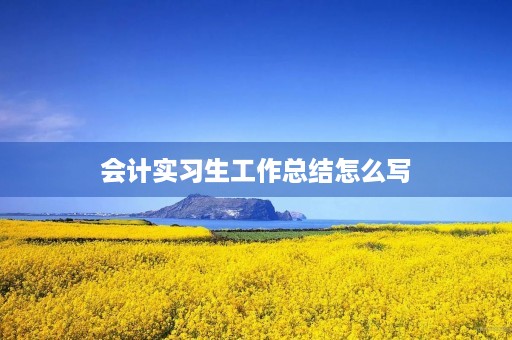 会计实习生工作总结怎么写