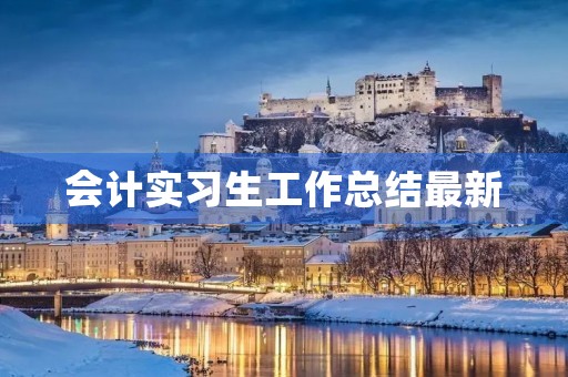 会计实习生工作总结最新