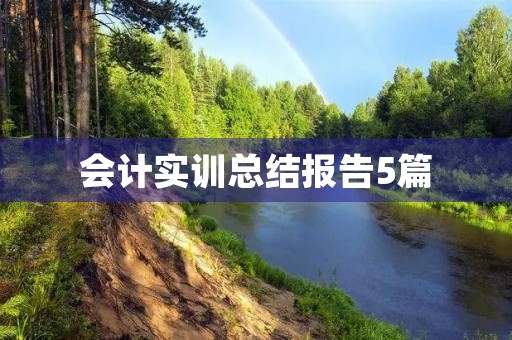 会计实训总结报告5篇 会计实训总结报告5篇