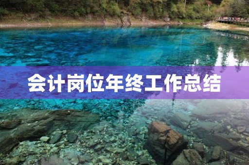 会计岗位年终工作总结