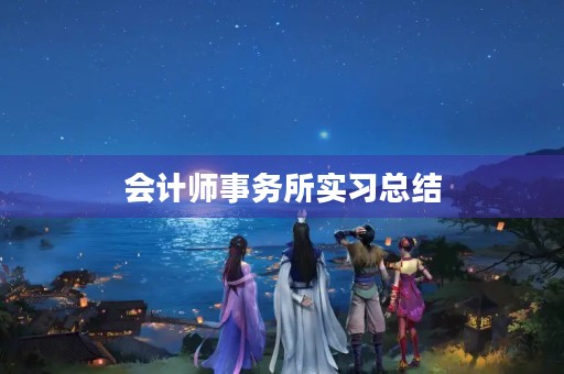 会计师事务所实习总结