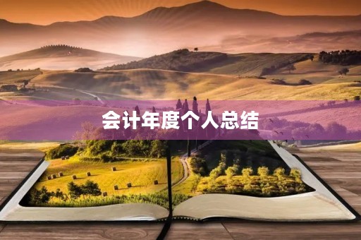 会计年度个人总结