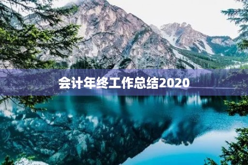 会计年终工作总结2020