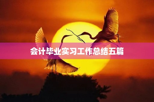 会计毕业实习工作总结五篇