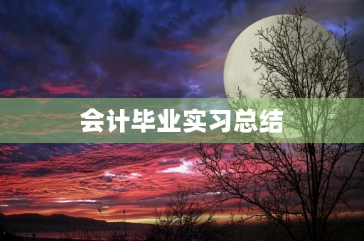 会计毕业实习总结