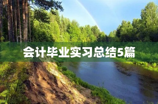 会计毕业实习总结5篇