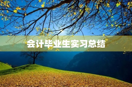 会计毕业生实习总结