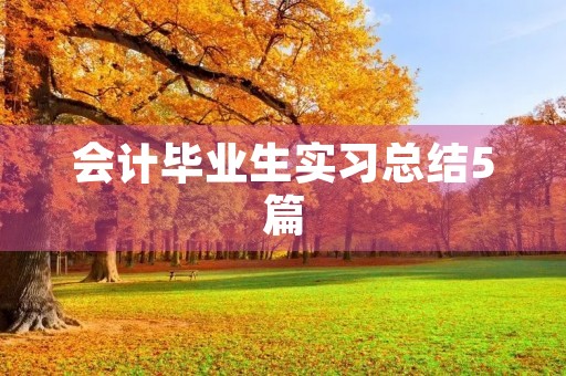 会计毕业生实习总结5篇 会计毕业生实习总结5篇