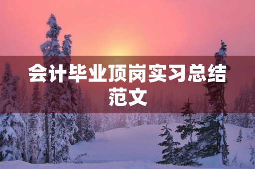 会计毕业顶岗实习总结范文