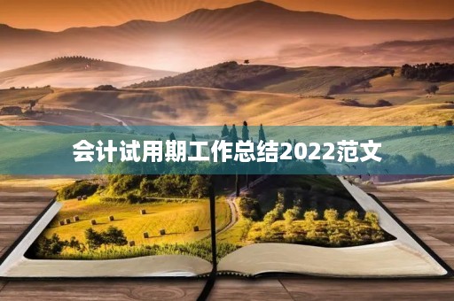 会计试用期工作总结2022范文