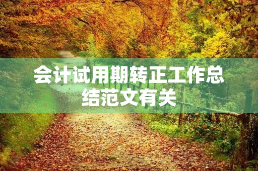 会计试用期转正工作总结范文有关