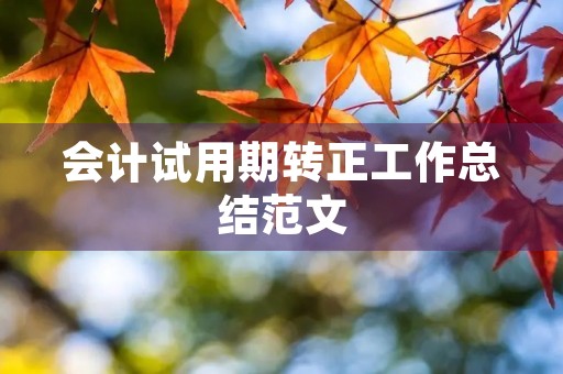 会计试用期转正工作总结范文