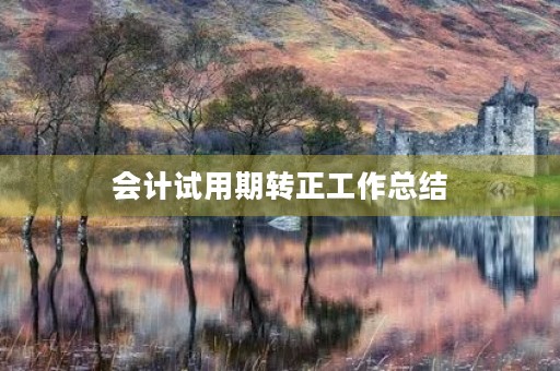 会计试用期转正工作总结