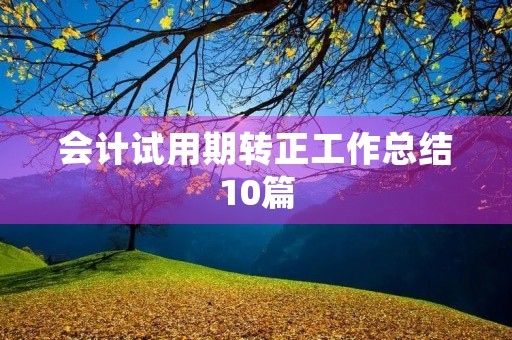 会计试用期转正工作总结10篇
