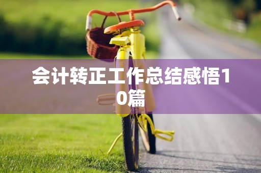 会计转正工作总结感悟10篇