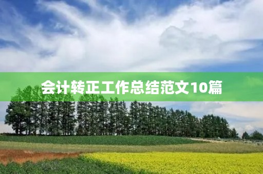 会计转正工作总结范文10篇