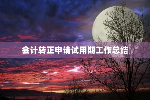 会计转正申请试用期工作总结